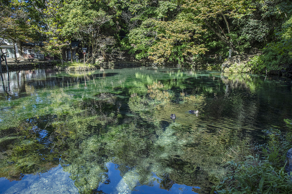 賃貸ガレージハウス｜ICからの関東ドライブ｜出流原弁天池