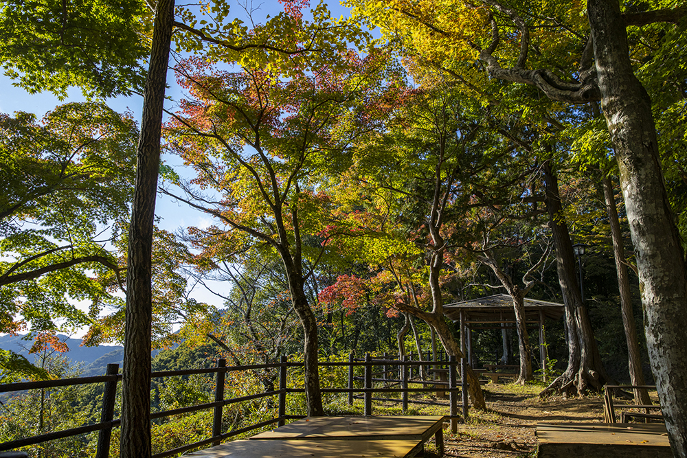 賃貸ガレージハウス｜ICからの関東ドライブ｜太平山紅葉