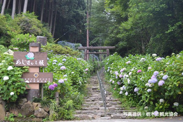 賃貸ガレージハウス｜ICからの関東ドライブ｜あじさい坂