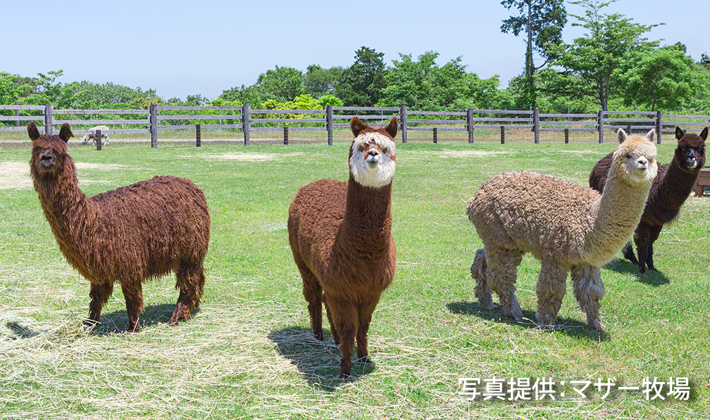賃貸ガレージハウス｜マザー牧場1