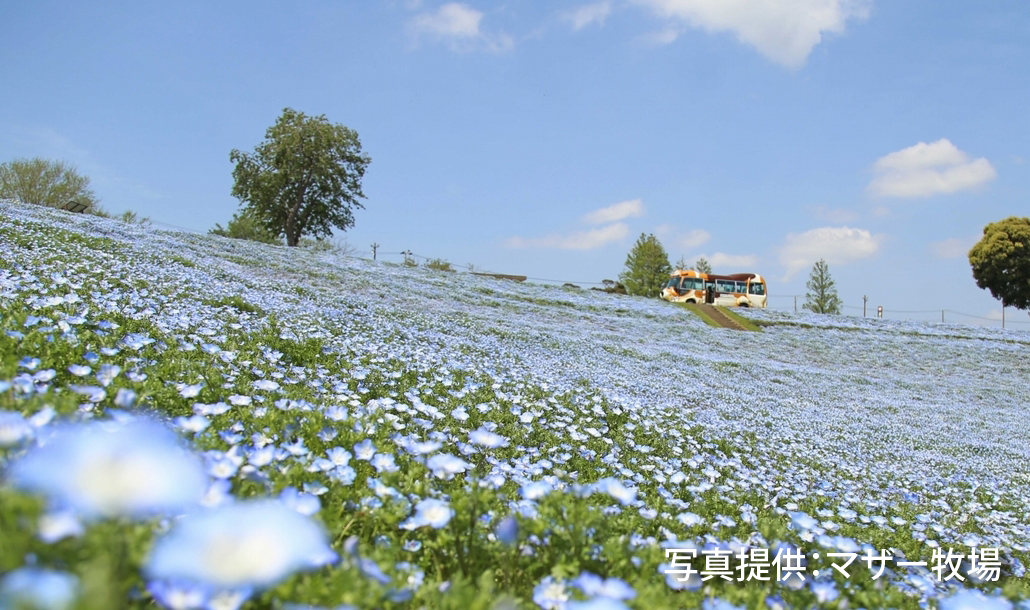 賃貸ガレージハウス｜マザー牧場2